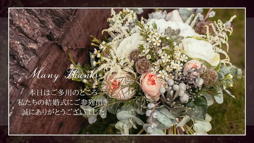 木漏れ日のオープニング