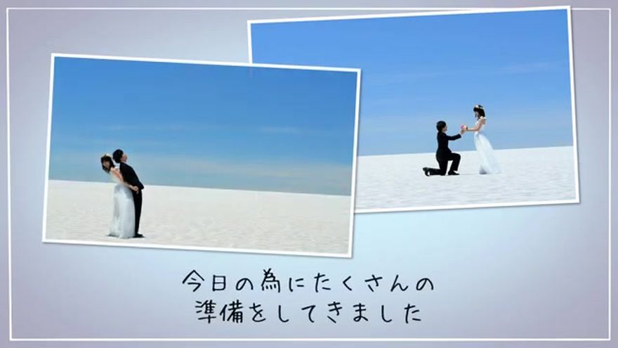写真の紹介